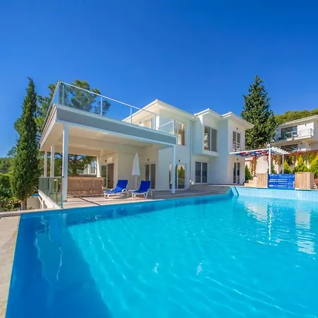 Orka 6 *