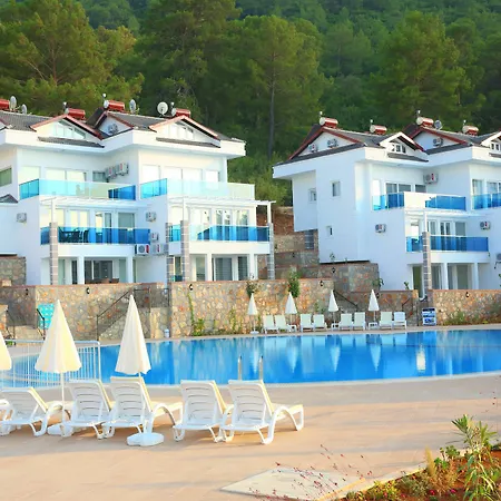 Orka 6